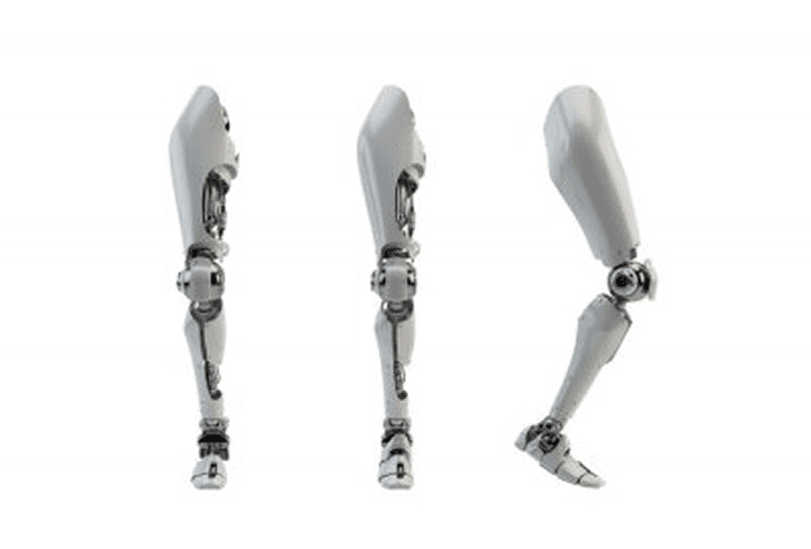 Robotic Legs