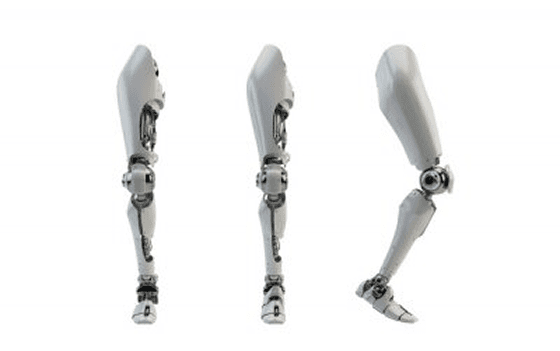 The Quest for Walking Robots